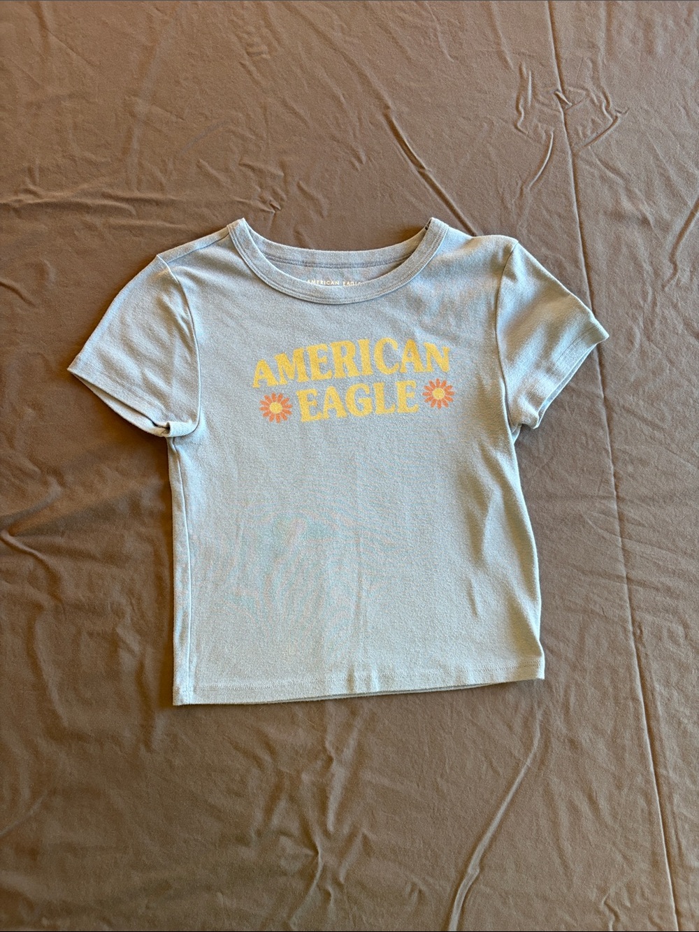 American Eagle Outfitters Light Blue Tee with Yellow Logo and Pink Daisy Details